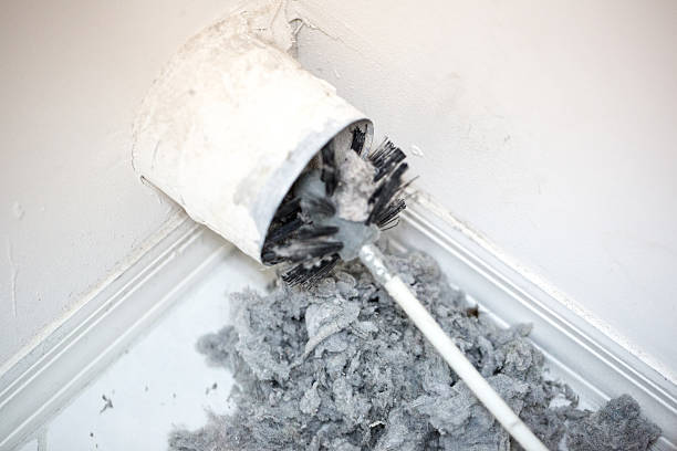 Air Duct Mold Removal in Chipley, FL